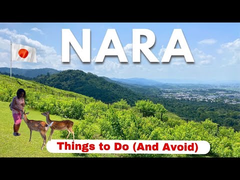 7 Unmissable Things to Do in NARA, JAPAN - The Perfect Nara Day Trip
