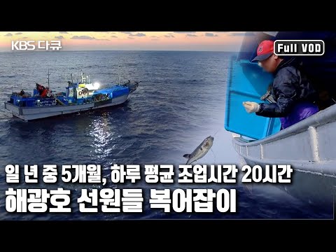 단순한 🐡복어잡이가 아니다 바다위 150일, 생존이 문제다! '망망대해의 사투, 복어잡이’ (KBS 20170401 방송)
