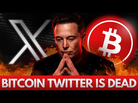 Bitcoin Twitter Engagement Collapsed After Elon’s X Changes