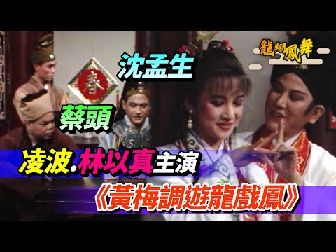 凌波.林以真.朱世奎.蔡頭.沈孟生.劉中華主演《黃梅調遊龍戲鳳》│龍翔鳳舞