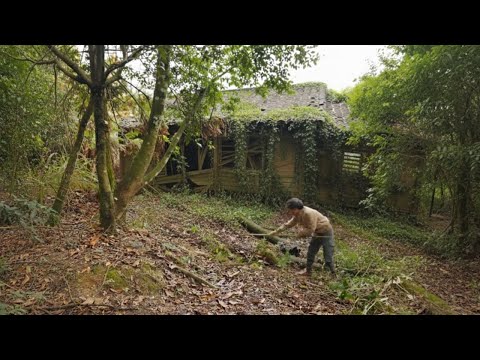 Three Brothers Restore Their Childhood Home with Rare Timber—Full Extreme Renovation