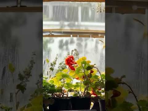 Slow travel relaxation