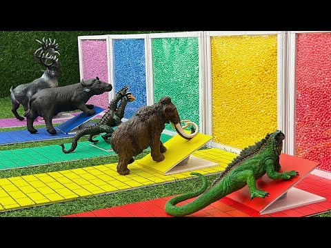 Aprende el Nombre y el Sonido de los Animales- Mamut, Iguana, Rey Ghidorah, Ciervo, Búfalo