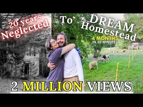 Couple turns NEGLECTED 60 ACRES into their DREAM HOMESTEAD // 4 Months in 30 Minutes