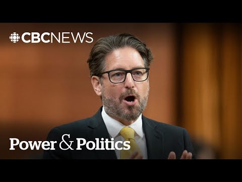 Conservative MP 'skeptical' new cabinet means change | Power & Politics