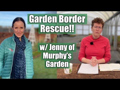Rosy Rescues a Problem Garden Border w/ @MurphysGarden