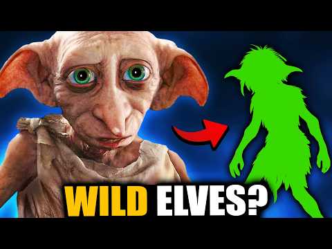 What Were House Elves BEFORE They Served Wizardkind? - Harry Potter Theory