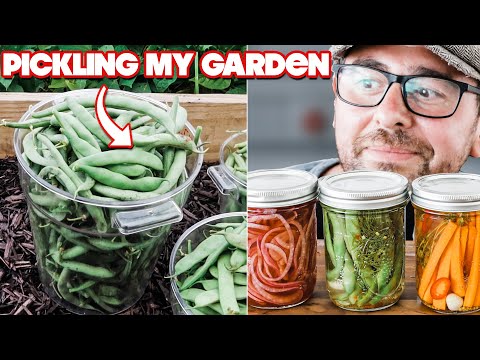 I Can't Believe My Garden Had This MANY Vegetables to Pickle Already