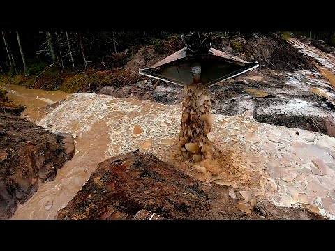 Footage From Forest Work - Part 19