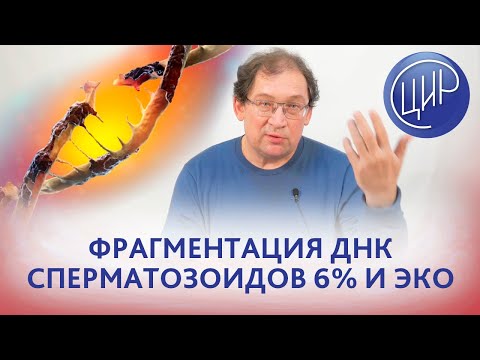 Фрагментация ДНК сперматозоидов 6,81% и 3 замершие беременности. Обязательно ли делать ЭКО?