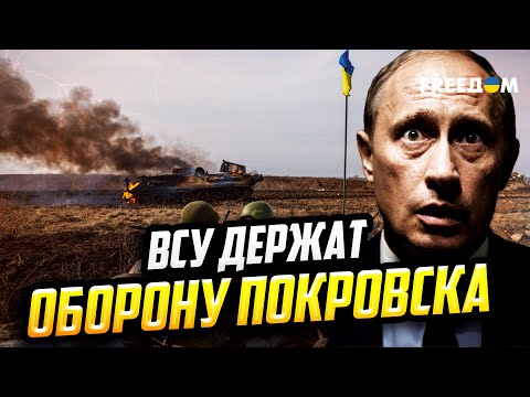 OFFENSIVE = BURIAL: Moscow wants Pokrovsk, but the Ukrainian Armed Forces are turning the Russian...
