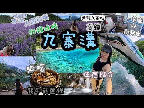 九寨溝自由行l 高鐵商務座vs一等座l 薰衣草花海 l 景點攻略 五花海五彩池 要買vip門票嗎？住宿推介 全季酒店九寨溝景區店l必食鮮菌犛牛鍋 成都直達黃龍九寨站ft.insta360acepro2
