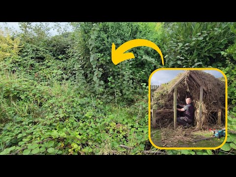 Votes Are In! | New Mum Garden Transformation 3 | Even More Work Needed In this Nightmare Garden!