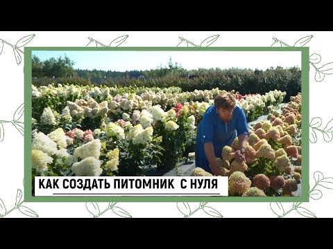 КАК СОЗДАТЬ ПИТОМНИК С НУЛЯ