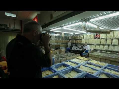 Picture Perfect: Patrick Brown