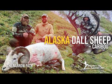 Alaska Dall Sheep & Caribou Hunting Adventure in the Brooks Range | The Narrow Path
