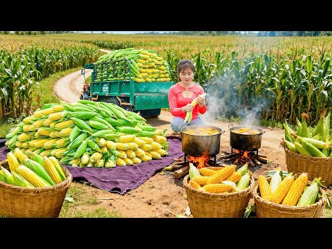 Harvesting 1000+ Sticky Corn & Boiled Sticky Corn Goes To Market Sell For Villager