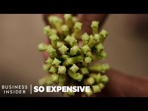 Why Cloves Are So Expensive | So Expensive