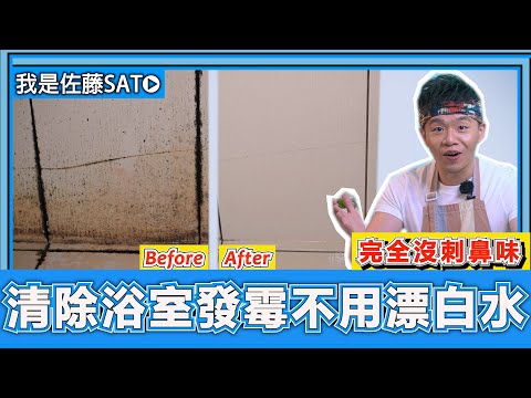 浴室『磁磚發霉長霉斑』不用漂白水,怎麼清最乾淨?教你清洗浴室,完全不會有漂白水刺鼻味道的方法! 2022過年大掃除必備清潔劑!