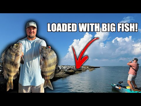 SHEEPSHEAD Were LOADED Around This SHALLOW Structure! *CATCH CLEAN COOK* (St  George Island Fishing)
