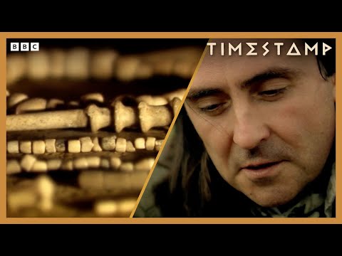 Recent discoveries flip what we know about the mysterious Stonehenge | BBC Timestamp