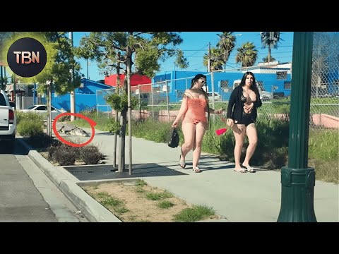 Moments Of Instant Karma Caught On Camera #233 | Try Not To Laugh Challenge Compilation