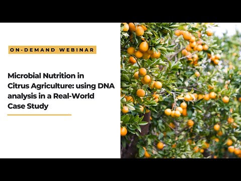 Microbial Nutrition in Citrus Agriculture: Using DNA analysis in a Real-World Case Study
