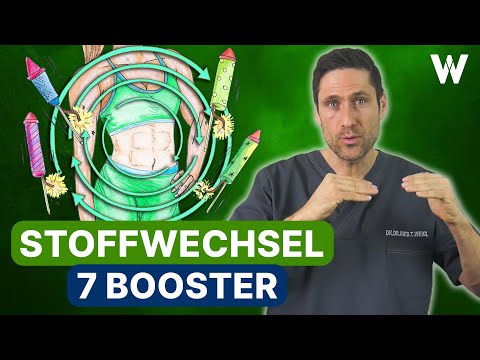 Stoffwechselkur mit DIESEN 7 Lebensmitteln. Meine Tipps um Ihren Stoffwechsel erfolgreich anzuregen