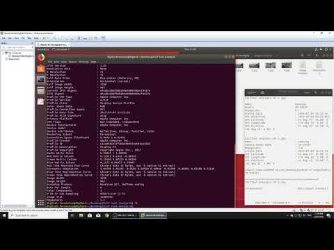 Digital Forensics - Metadata Analysis #1 - Exiftool