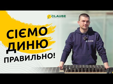 ПРАВИЛЬНИЙ ПОСІВ - ІДЕАЛЬНІ СХОДИ!