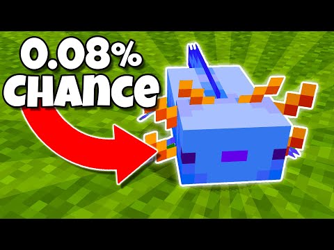 I Got the Rarest Pet in Minecraft...