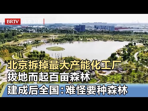 北京拆掉最大产能化工厂，拔地而起百亩森林，建成画面首公开，全国惊叹：难怪要种森林【我是规划师】