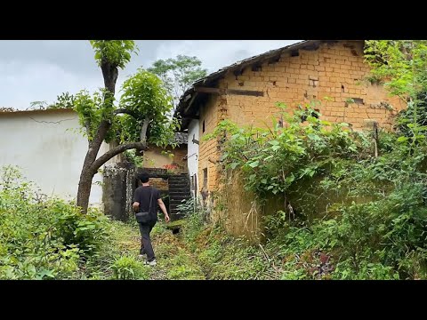 Cleaning and Renovating an Abandoned House in the Mountains | Living the Free Life