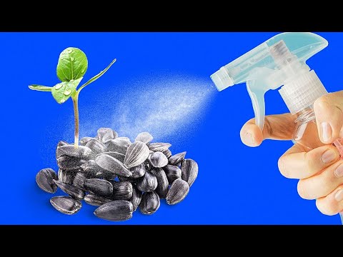 29 TRUCOS DE COMIDA que te sorprenderán