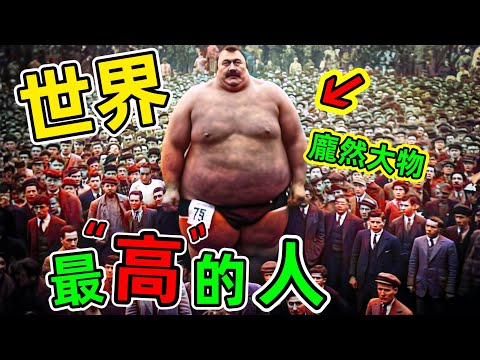 世界最高的人：排名第一的“巨人”死後依然在長身高，堪稱奇跡#世界最高的人 #世界之最 #top10 #老王看世界 #冷知識 #巨人