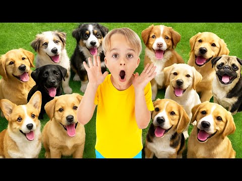 Chris e Michael aprendem a cuidar de animais