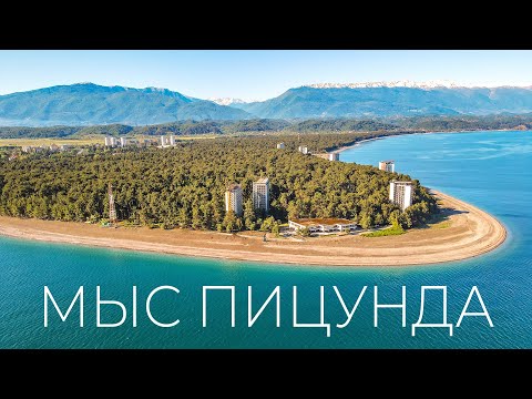 Рай на земле возможен. Мыс Пицунда. Лес на берегу Черного моря