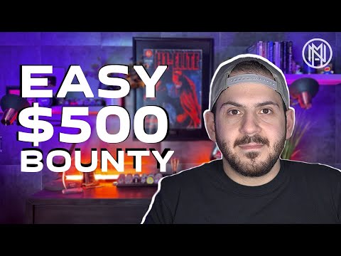 Easy $500 Vulnerabilities! // How To Bug Bounty