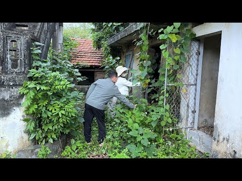 For only $4,500, the couple was surprised by the value of their 15-year-old house