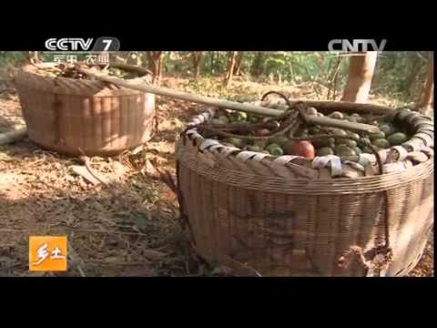 20141229 乡土  上犹客家人