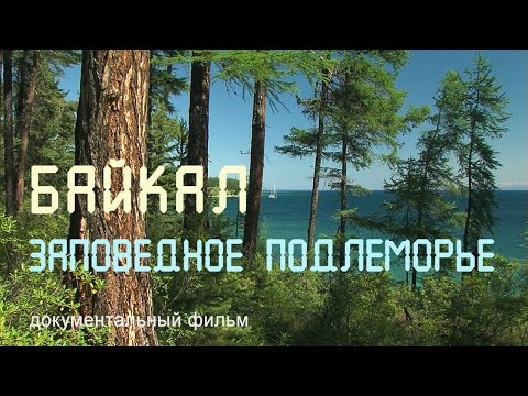 Байкал. Чивыркуйский залив. Ушканьи острова. Байкальская нерпа.Nature of Russia.