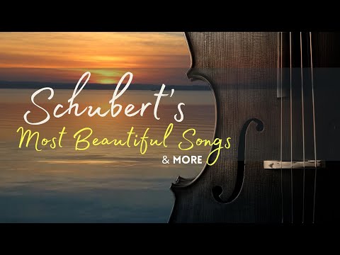Schubert's Most Beautiful Pieces & More | Cello and Piano