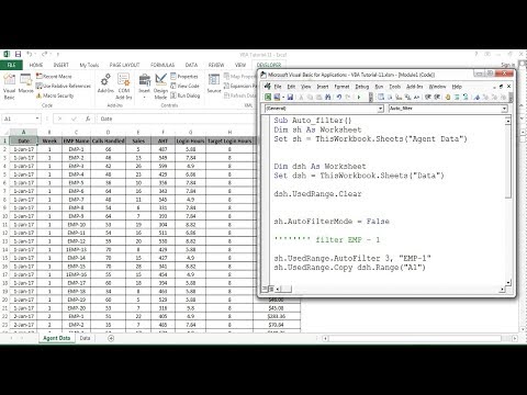 VBA Tutorial 11:  Auto filter in Excel VBA