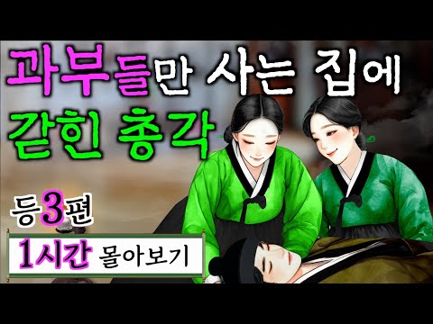 여우야담 몰아보기 '과부들만 사는 집에 갇힌 총각... ' 등 3편 1시간. 야담, 민담, 전설, 설화, 옛날이야기