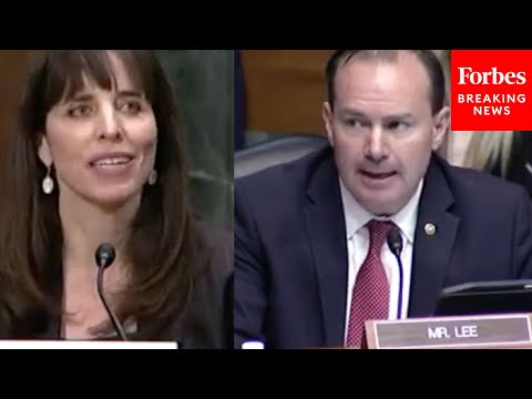 'How Do You Know That?': Mike Lee Presses Biden Nominee On Past Claims She Made