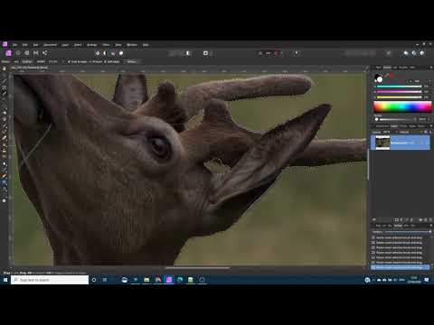 Affinity Photo - Basics of Layers Masks and Selections