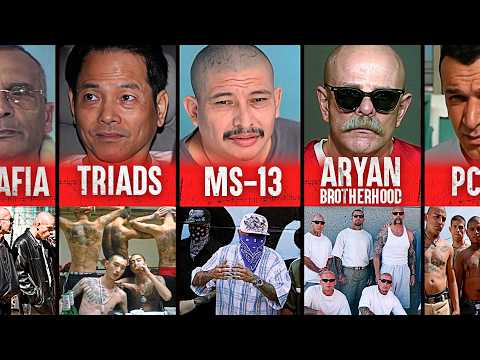 The World’s Most Dangerous Gangs