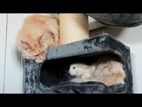 Uncle Buster Visits Clara and Brock!