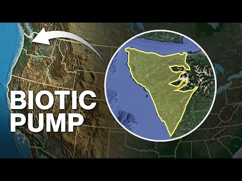 Lose This, and We’re Doomed!