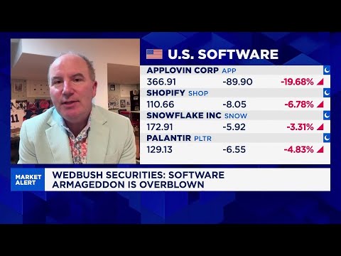 Dan Ives: Software 'doomsday' scenario is extremely overblown